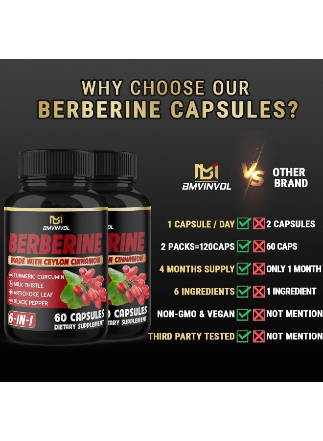 BMVINVOL (2 Packs) Berberine Supplement 4700mg Plus Ceylon Cinnamon, Turmeric - 120 Capsules - Supports Immune Function - Berberine HCl Supplement Pills - 4 Months Supply - Image 5